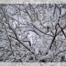 "Баку сегодня в снегу....02.01.2012." Фотосет от Хикмета Садыхова (Gorec58) (Фото 1)