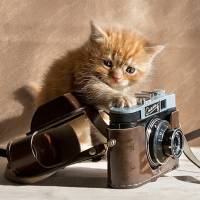 Фотографы